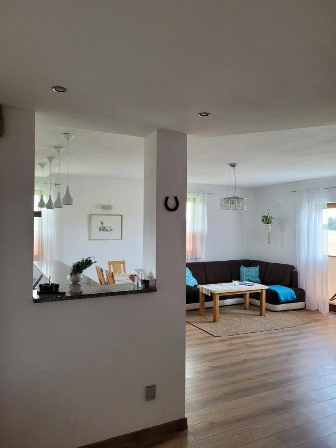 Borzytuchom Agroturystyka Kaszuby Villagehome מראה חיצוני תמונה