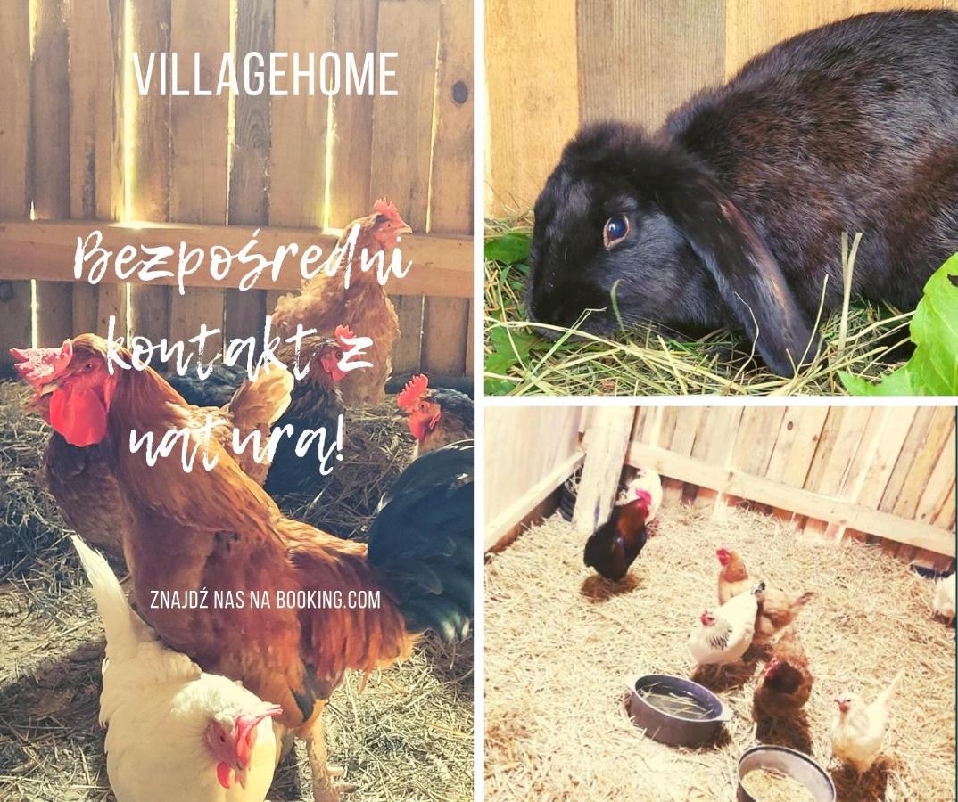 Borzytuchom Agroturystyka Kaszuby Villagehome מראה חיצוני תמונה