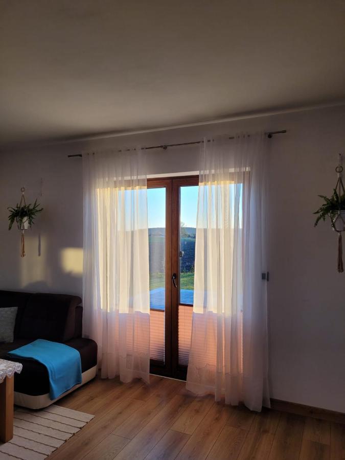 Borzytuchom Agroturystyka Kaszuby Villagehome מראה חיצוני תמונה