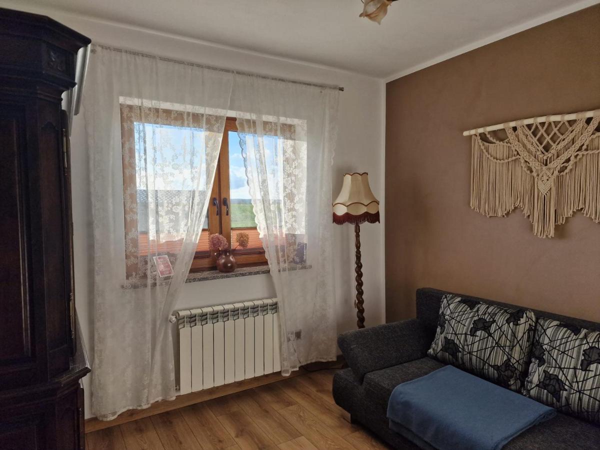Borzytuchom Agroturystyka Kaszuby Villagehome מראה חיצוני תמונה